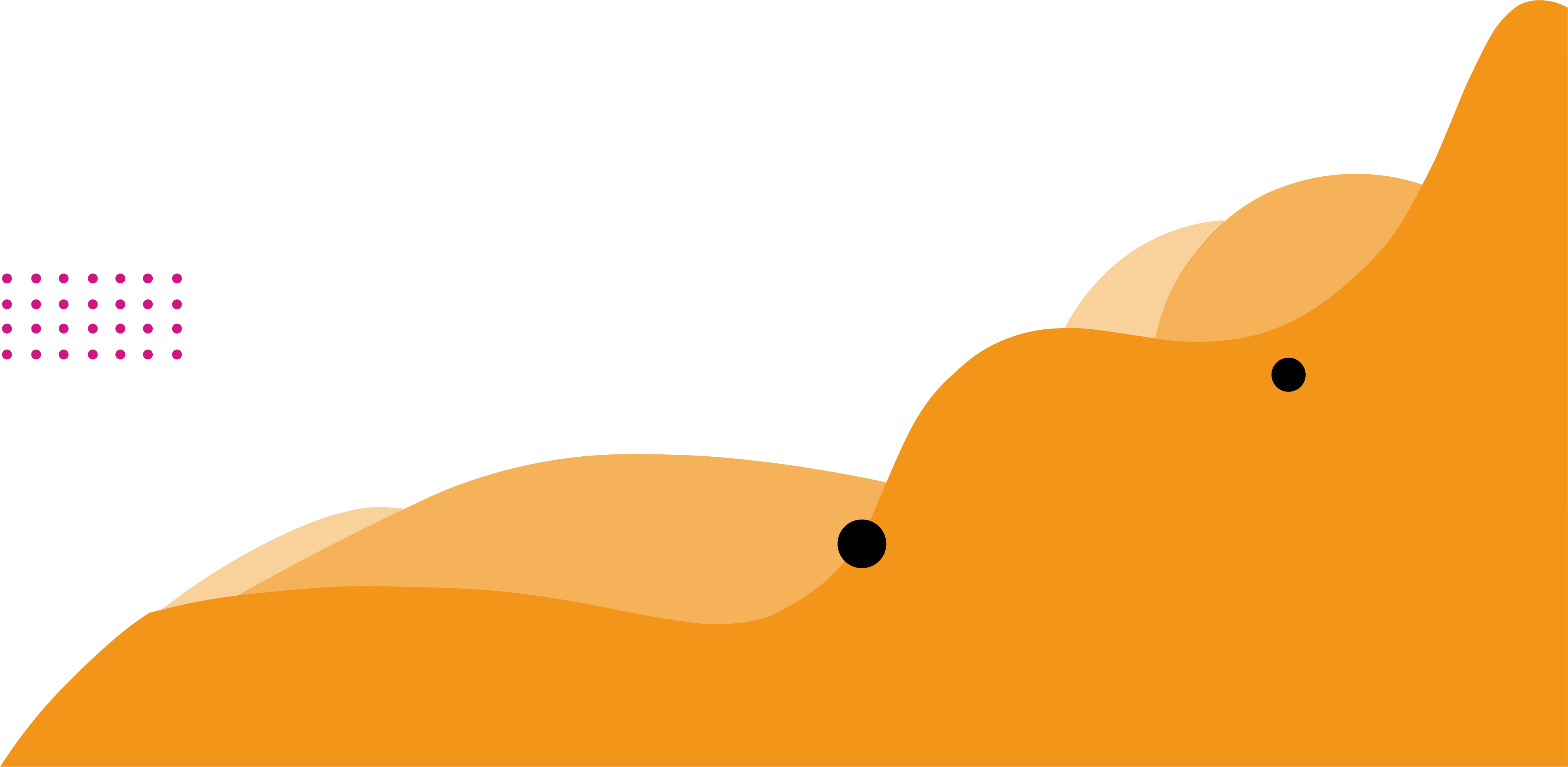 Shape