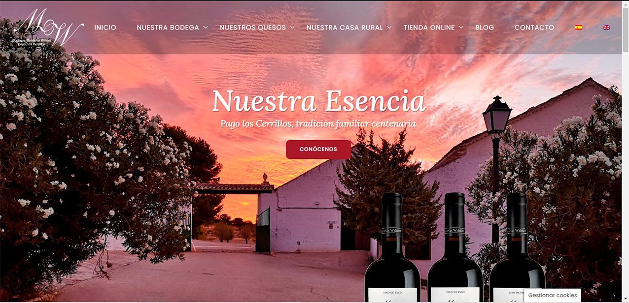 Creación%20y%20diseño%20de%20paginas%20web,%20comercio%20electrónico%20y%20posicionamiento%20web