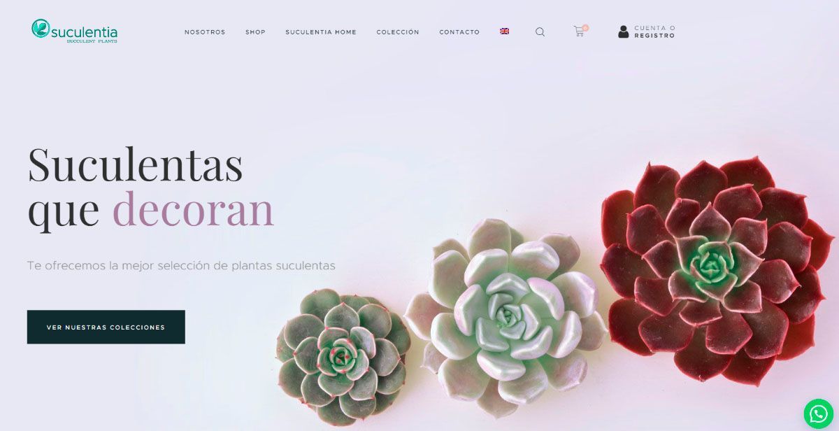 Creación%20y%20diseño%20de%20paginas%20web,%20comercio%20electrónico%20y%20posicionamiento%20web