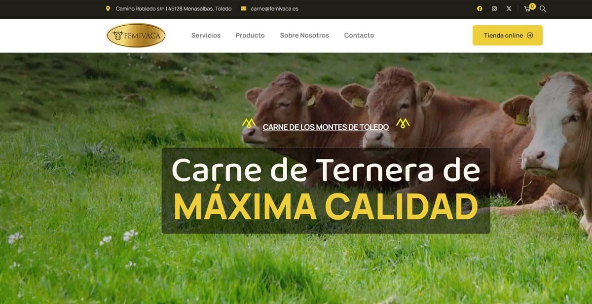 Creación%20y%20diseño%20de%20paginas%20web,%20comercio%20electrónico%20y%20posicionamiento%20web