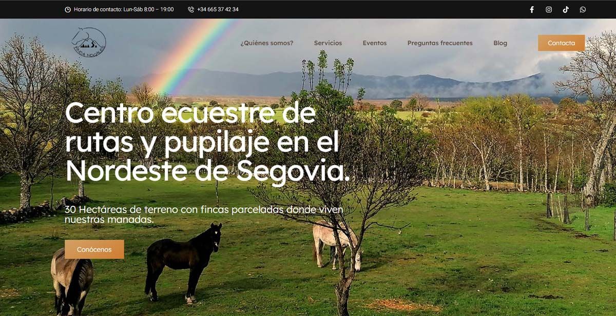 Creación%20y%20diseño%20de%20paginas%20web,%20comercio%20electrónico%20y%20posicionamiento%20web