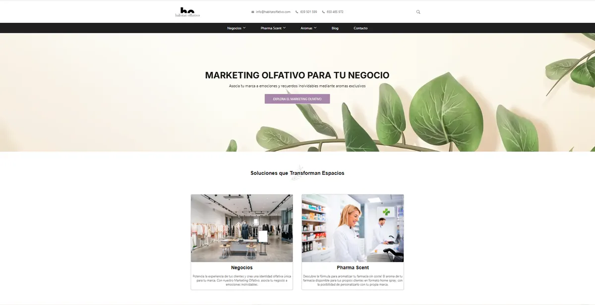 Creación%20y%20diseño%20de%20paginas%20web,%20comercio%20electrónico%20y%20posicionamiento%20web