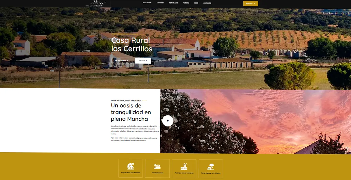 Creación%20y%20diseño%20de%20paginas%20web,%20comercio%20electrónico%20y%20posicionamiento%20web