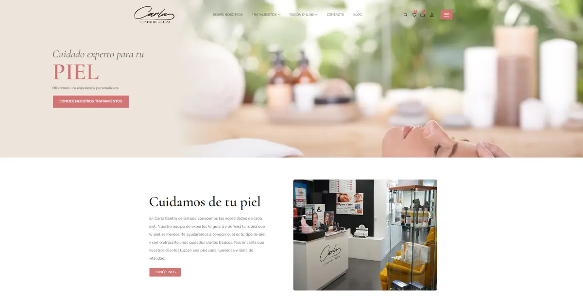 Creación%20y%20diseño%20de%20paginas%20web,%20comercio%20electrónico%20y%20posicionamiento%20web