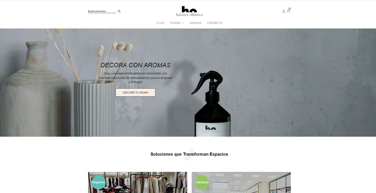 Creación%20y%20diseño%20de%20paginas%20web,%20comercio%20electrónico%20y%20posicionamiento%20web